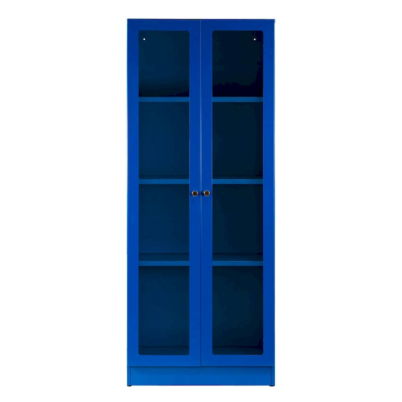 Avice 59-inch Blue French Door Metal Cabinet