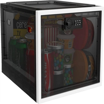 Large Medicine Lock Box